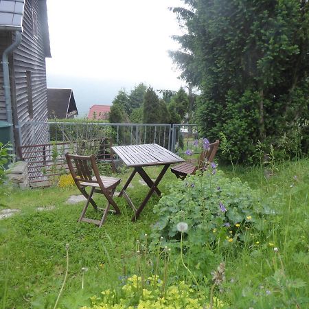 Haus Bergwiese - Fuer Naturfreunde, Familien, Wanderer Gehlberg Exterior foto